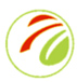 Transglobe Foods